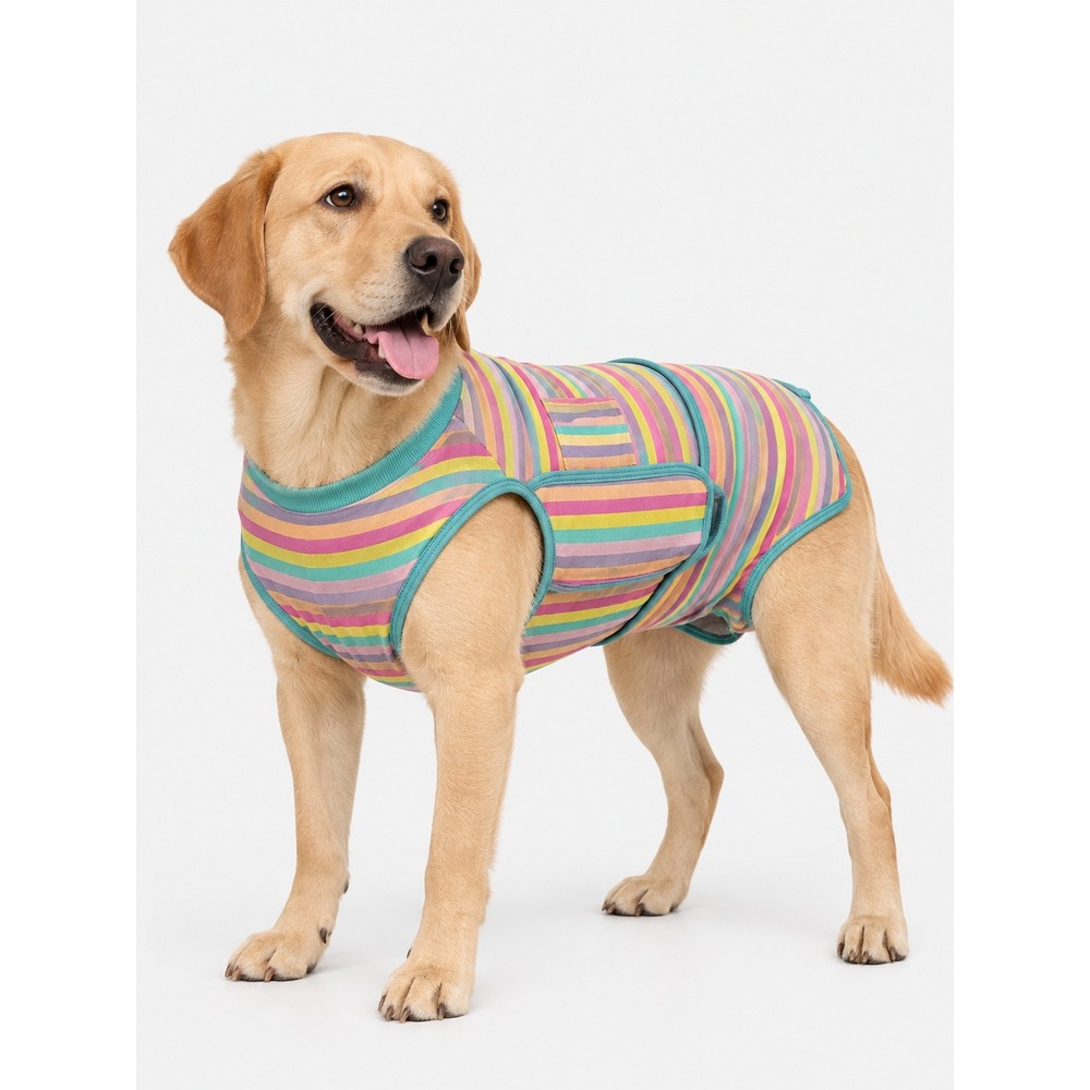 Kuoser Striped Pet Suit Multicolor Cotton Blend Size L NWT New